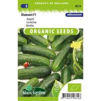Biologische Augurken zaden Diamant F1 - thumbnail