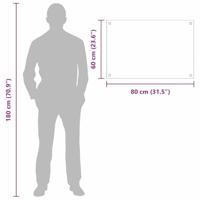 VidaXL Keuken achterwand 2 pcs doorzichtig 80 x 60 cm gehard glas - thumbnail