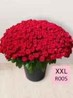 Boeket van 365 rode rozen - Red Naomi - thumbnail