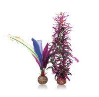 biOrb papegaaienveer S Oase - Biorb - thumbnail