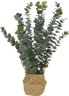 Kunstplant Eucalyptus in Mandje 50cm Kunstplant Eucalyptus in Mandje 50cm