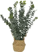 Kunstplant Eucalyptus in Mandje 50cm - thumbnail