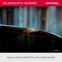 Samyang 100mm T3.1 VDSLR Macro Sony E-Mount - thumbnail