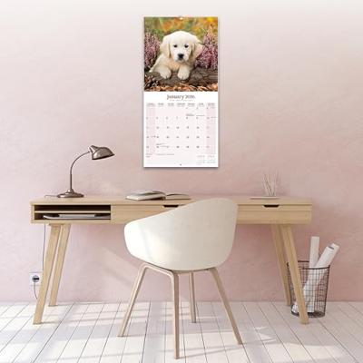 Baby Animals Kalender 2026