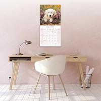Baby Animals Kalender 2026 - thumbnail