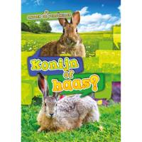 Konijn of haas? - Christina Leaf - Hardcover (9789463416672) - thumbnail