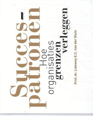 Succespatronen (Paperback)
