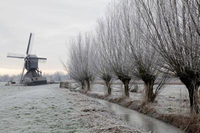 Tuinschilderij knotw winter 130x70 Customize-it - Customize it