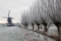 Tuinschilderij knotw winter 130x70 Customize-it - Customize it - thumbnail