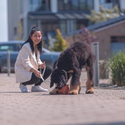 Hondenriem Trixie CityStyle Lichtgrijs L/XL - thumbnail