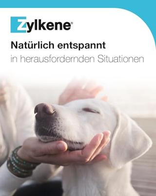 Zylkene Chews 75 mg voor kleine hond (tot 10 kg) 2 stuks - thumbnail