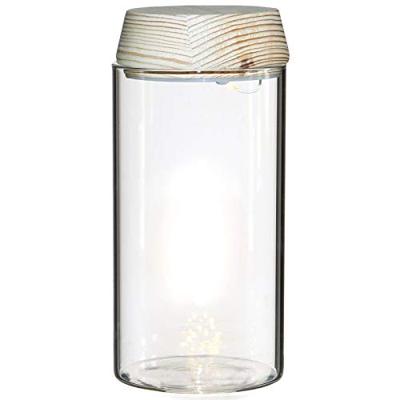 Ideas4seasons Pot|vaas voor ecosysteem - LED verlichting - D8 x H18 cm