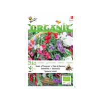 Zaden Organic Lathyrus Reuk- of Siererwt Spencer (BIO) Buzzy - Buzzy - thumbnail