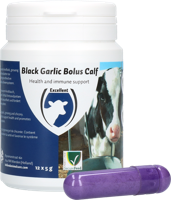 Black Garlic Bolus Calf - thumbnail