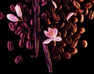 Yves Saint Laurent - YSL Black Opium Eau de parfum Spray 90 ml Dames