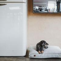 Hondenbed Hunter Belluno Beige 100 x 70 cm - thumbnail