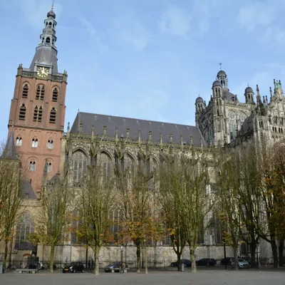 Alexsar Art Tuinschilderij Sint Jan Parade 50x50cm