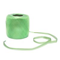 Nature kunststof raffia 400 meter - thumbnail