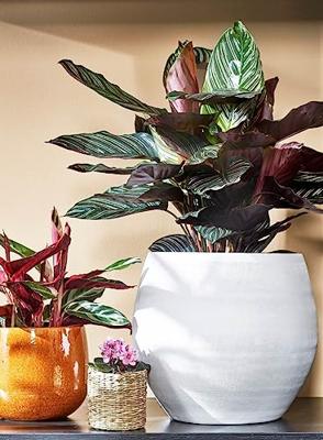 Mica Decorations Douro Bloempot - H18 x Ø20 cm - Mat - Wit