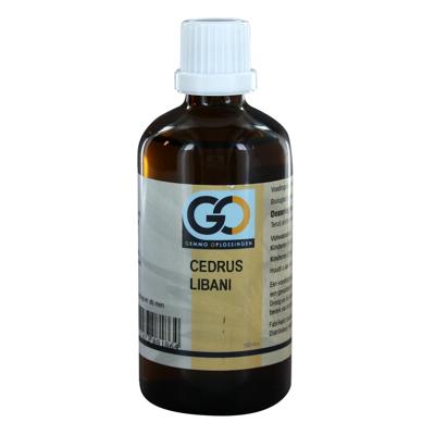 GO Cedrus libani 100 Milliliter