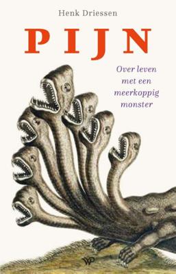 Pijn - Henk Driessen - Paperback (9789462497030) Pijn - Henk Driessen - Paperback (9789462497030)