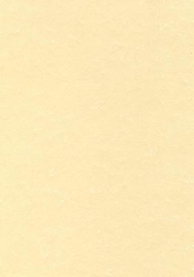 Decadry structuurpapier champagne, 165 g, pak van 50 vel