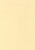 Decadry structuurpapier champagne, 165 g, pak van 50 vel - thumbnail