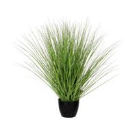 Decoratieve plant Mica Decorations Groen PVC Kruid - thumbnail