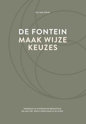 De fontein, maak wijze keuzes - Els van Steijn - ebook