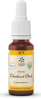 Lemon Pharma Bach NO.7 Chestnut Bud Lemon Pharma Bach NO.7 Chestnut Bud