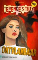 Ontvlambaar - Silvia van Gimst - ebook - thumbnail