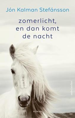Zomerlicht, en dan komt de nacht - Jón Kalman Stefánsson - ebook