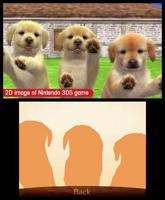 Nintendogs + Cats Retriever - thumbnail