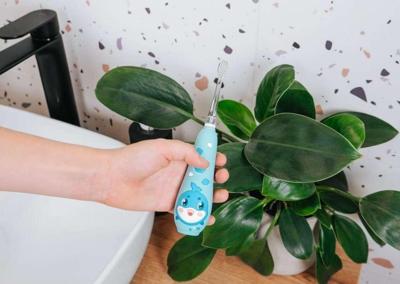 Concept ZK3020 Sonische tandenborstel voor kinderen 1-5 jaar blauw