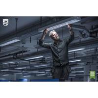 Signify 42105900 LED-buis-lamp Energielabel E (A - G) G13 Buis 8 W Daglichtwit (Ø x l) 28 mm x 604 mm 1 stuk(s) - thumbnail