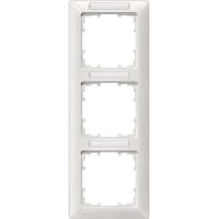 Siemens 5TG25532 Frame 3-voudig Delta Wit Schakelmateriaal 1 stuk(s)