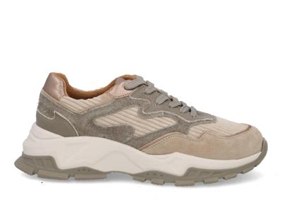 DWRS label Chester Corduroy 2166 grey stone taupe maat 37