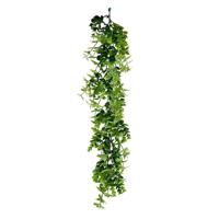 Hanger eucalyptus 75 cm kunsttak Buitengewoon de Boet - Buitengewoon de boet - thumbnail