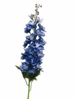 Delphinium Diva dark blue 90cm - thumbnail