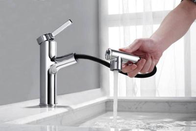 Wastafelmengkraan Best Design Asproli met Uittrekbare Sproeiuitloop Chroom