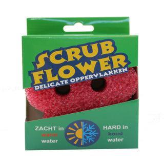 Scrub Flower Spons Delicate Oppervlakken