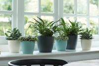 Pottenset Elho Grijs Plastic Cirkelvormig 2 Onderdelen - thumbnail