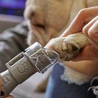 Dremel 2615PG10AC SD60-PGK Multitool toebehorenset 10 stuk(s) - thumbnail