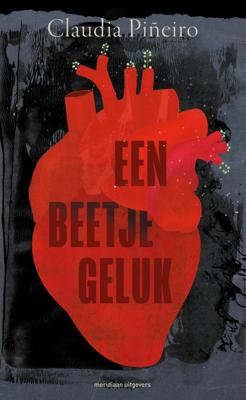 Een beetje geluk - Claudia Piñeiro - ebook