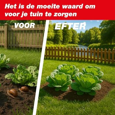 Swissinno Kunststoff grün 2er Pack Slakkenverschrikker 2 stuk(s)