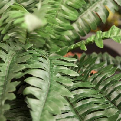 Boston Varen deluxe kunstplant 45cm