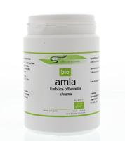 Surya Amla churna bio 100 Gram - thumbnail