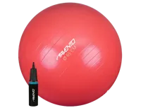 Avento Fitnessbal 65 Cm Pvc Roze 2-delig - thumbnail