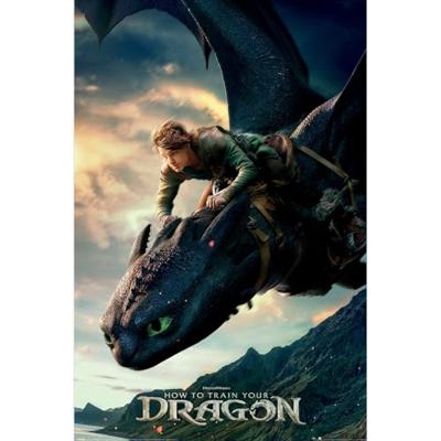 Poster How To Train Your Dragon - Live Action 61x91,5cm Poster How To Train Your Dragon - Live Action 61x91,5cm