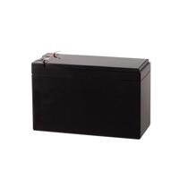 Noodstroomaccu 12V 7Ah - thumbnail